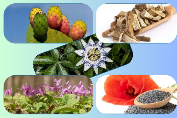 Nerve Fresh For Daily Nerve Support