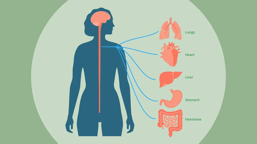 Nerve Fresh benefits for sleep and nerve health