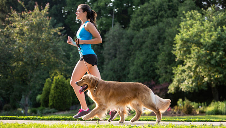 UltraK9 Pro results for dog energy and health