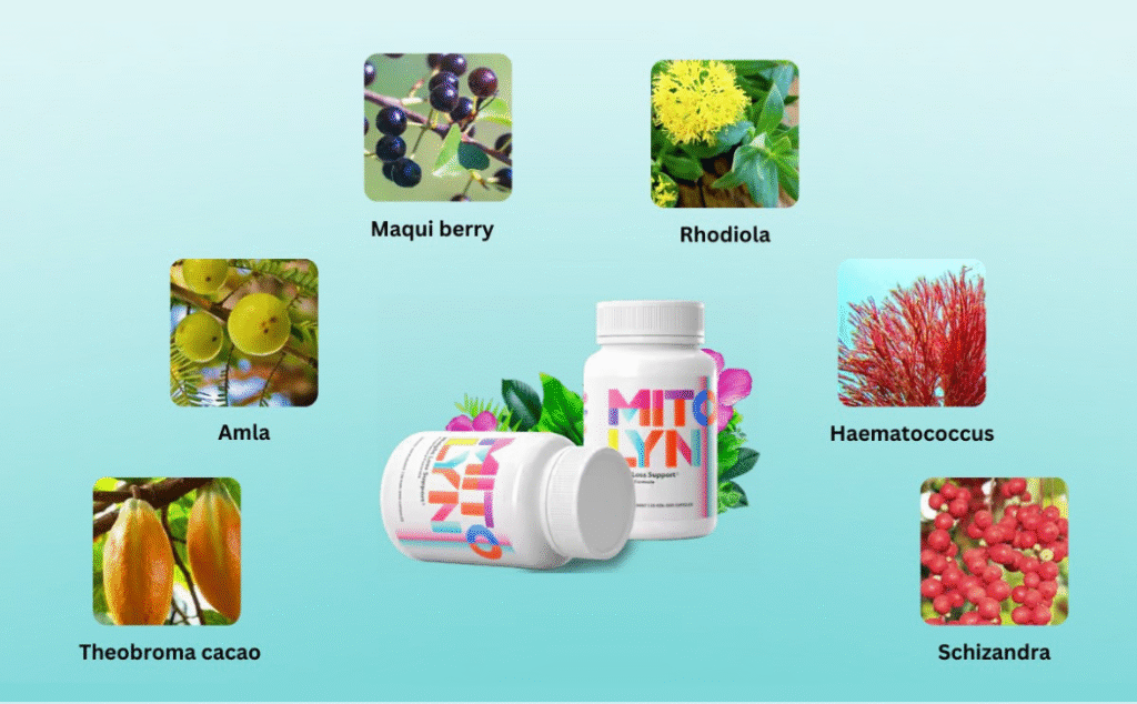 Lose weight naturally with Mitolyn support