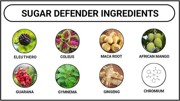 Sugar Defender Reviews [Complaints & Side Effects] Blood Sugar Support Supplement