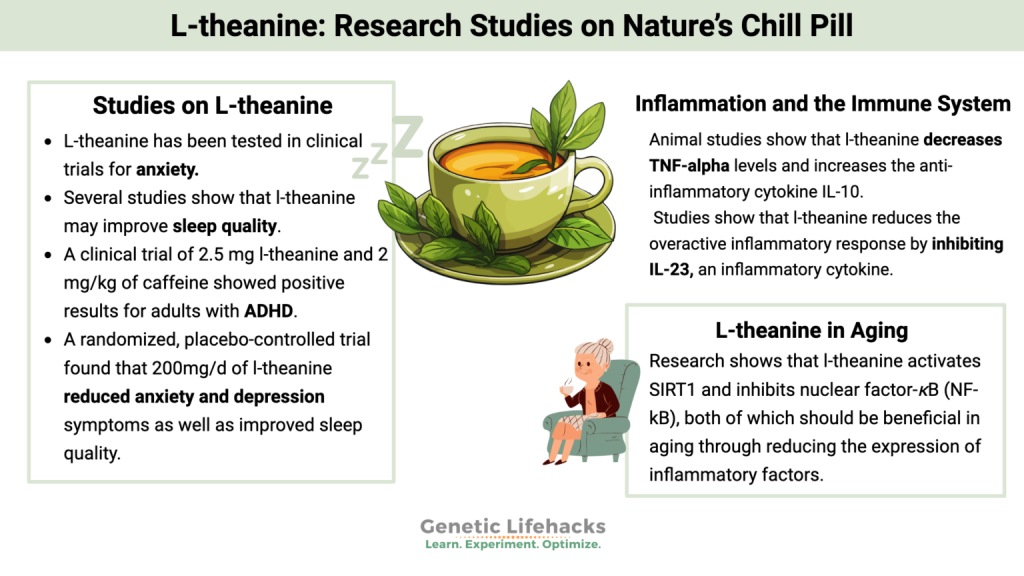 L-Theanine for Stress and Focus: Benefits, Dosage, and Science-Backed Guide